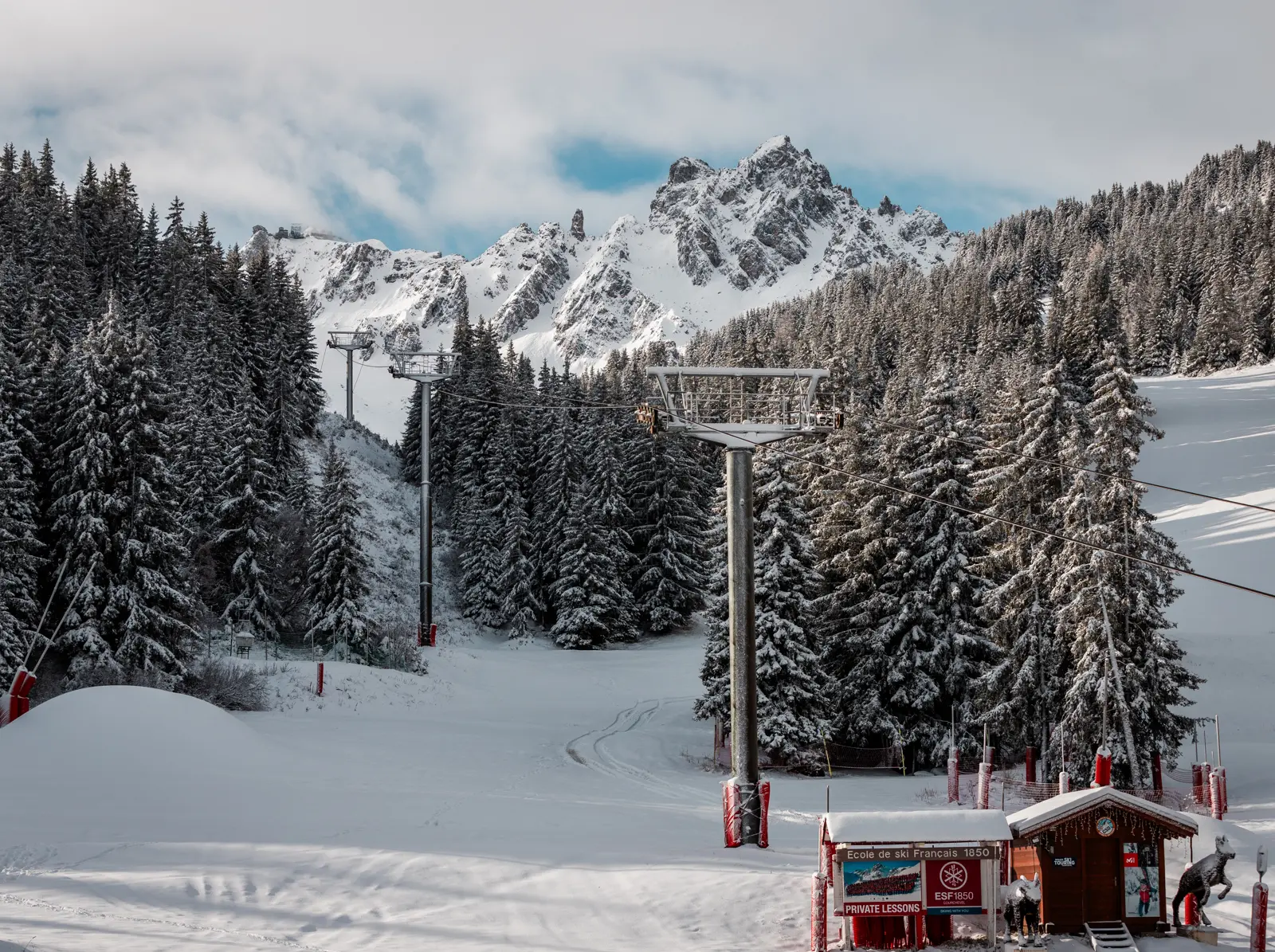 Larch and fir forest along the Courchevel runs