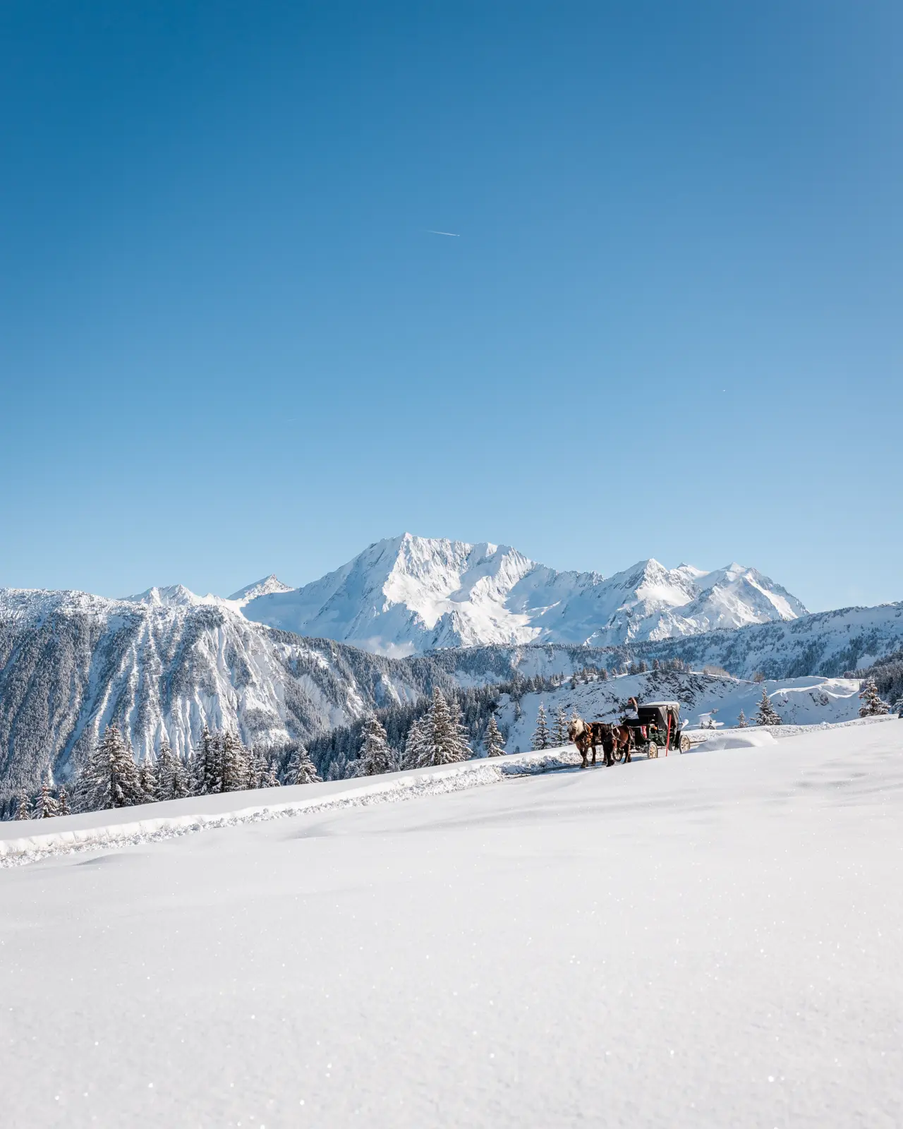 Horse-drawn sleigh in Courchevel