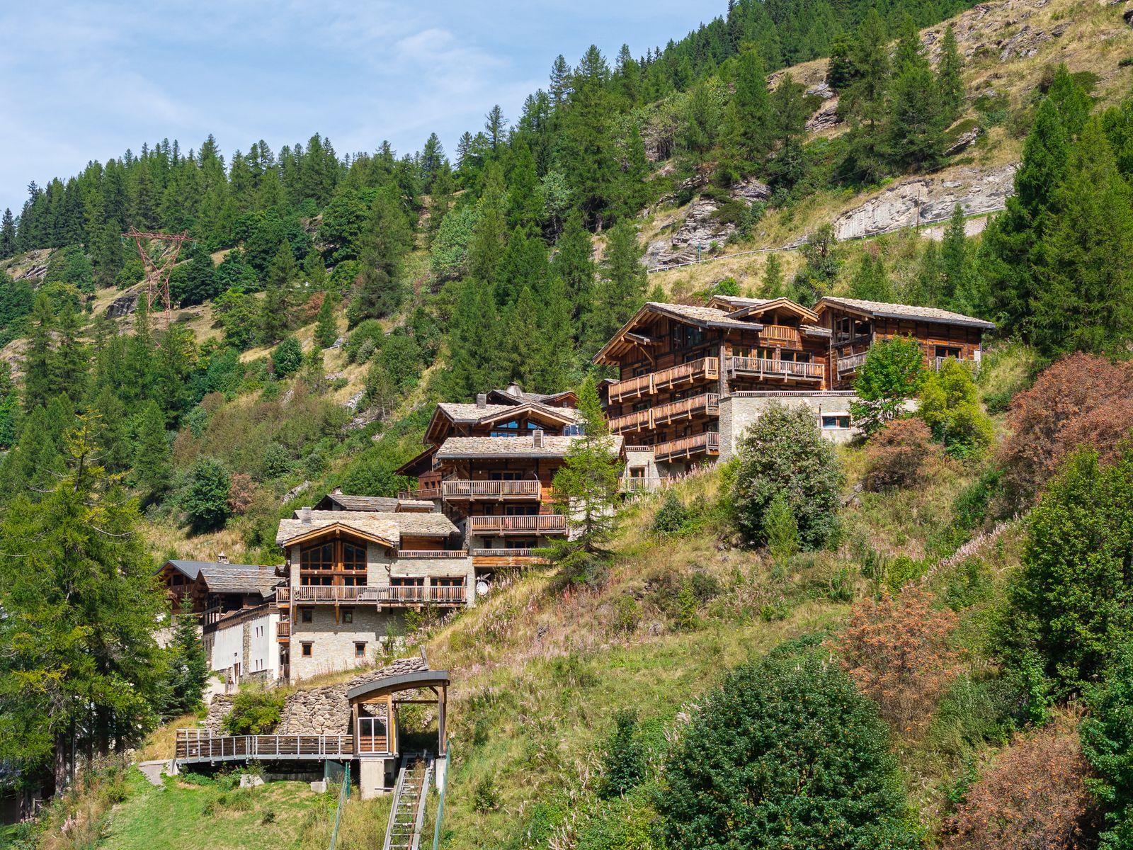 A green summer mountainside above a chalet village in the French Alps