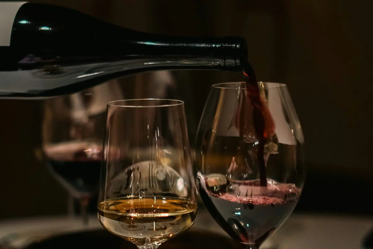 Wine Tasting & Grocery Delivery
